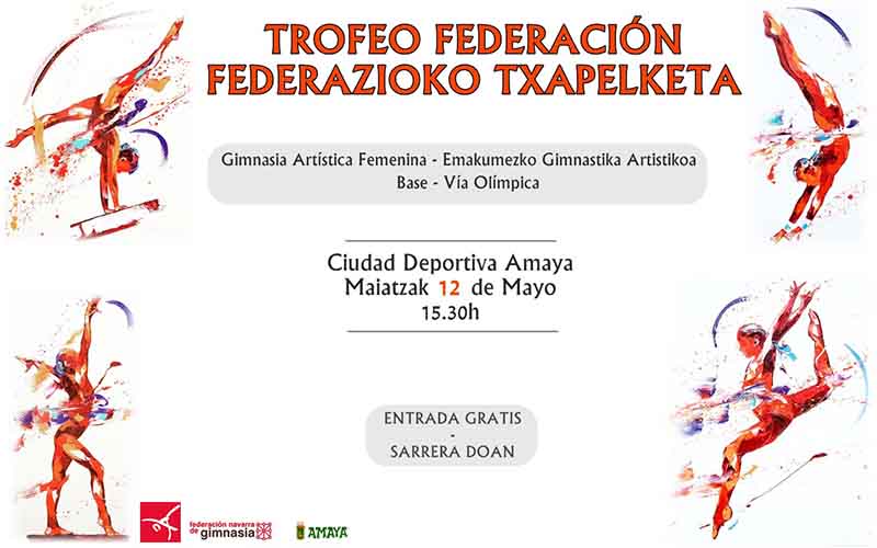 Copa Federaci&oacute;n de Gimnasia Art&iacute;stica Femenina